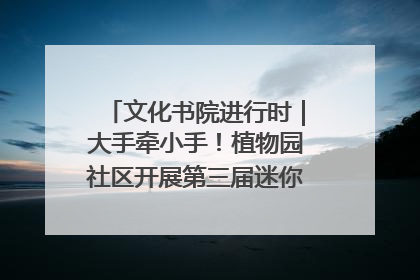 文化书院进行时｜大手牵小手！植物园社区开展第三届迷你马拉松活动