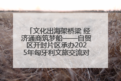 文化出海架桥梁 经济通商筑梦船——自贸区开封片区承办2025年匈牙利文旅交流对接活动专场