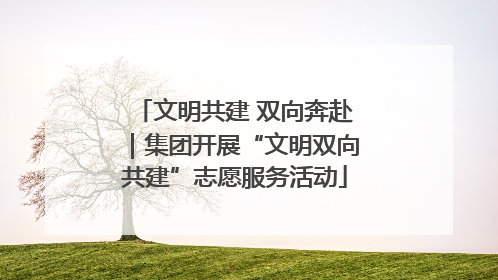 文明共建 双向奔赴｜集团开展“文明双向共建”志愿服务活动