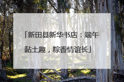 新田县新华书店：端午黏土趣，粽香情谊长