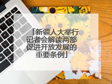 新疆人大举行记者会解读两部促进开放发展的重要条例