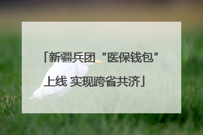 新疆兵团“医保钱包”上线 实现跨省共济
