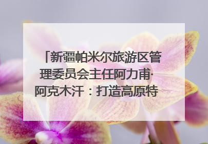 新疆帕米尔旅游区管理委员会主任阿力甫·阿克木汗：打造高原特色文旅品牌 推动县域旅游高质量发展｜第七届全国县域旅游研究成果发布系列活动