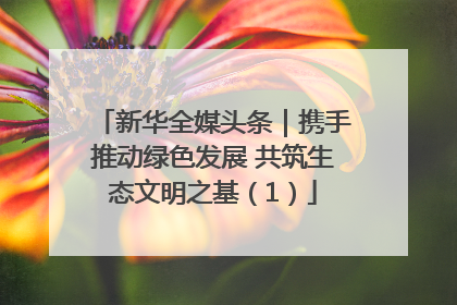 新华全媒头条｜携手推动绿色发展 共筑生态文明之基（1）