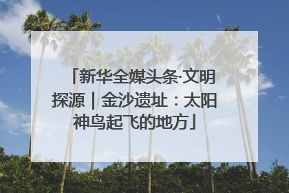 新华全媒头条·文明探源｜金沙遗址：太阳神鸟起飞的地方
