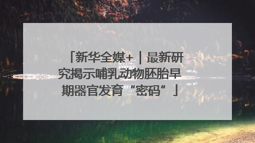 新华全媒+｜最新研究揭示哺乳动物胚胎早期器官发育“密码”