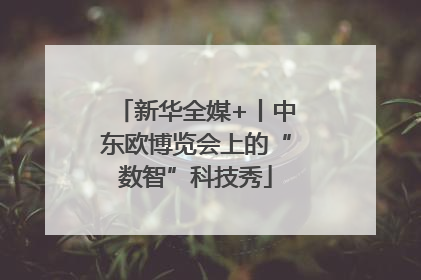 新华全媒+丨中东欧博览会上的“数智”科技秀