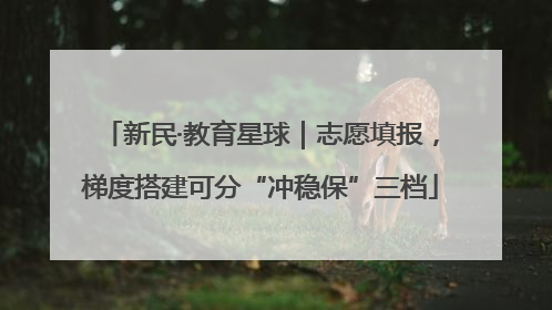 新民·教育星球｜志愿填报，梯度搭建可分“冲稳保”三档