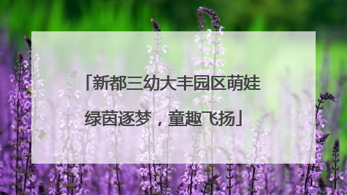 新都三幼大丰园区萌娃绿茵逐梦，童趣飞扬
