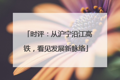 时评：从沪宁沿江高铁，看见发展新脉络
