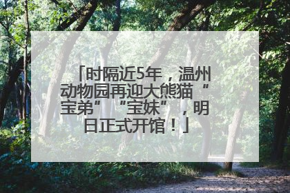 时隔近5年，温州动物园再迎大熊猫“宝弟”“宝妹”，明日正式开馆！