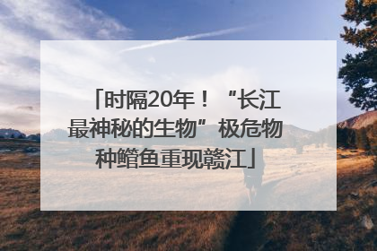 时隔20年！“长江最神秘的生物”极危物种鳤鱼重现赣江