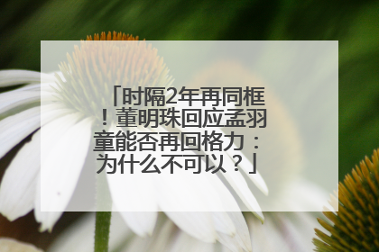 时隔2年再同框！董明珠回应孟羽童能否再回格力：为什么不可以？