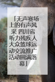 无声赛场上的有声风采 四川省听力残疾人大众篮球运动交流推广活动圆满落幕