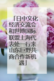 日中文化经济交流会和世博国际联盟上海代表处一行来山东巨野共商合作新机遇