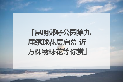 昆明郊野公园第九届绣球花展启幕 近万株绣球花等你赏