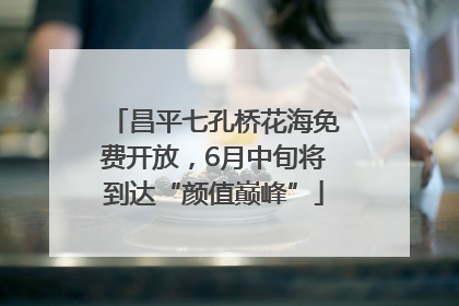 昌平七孔桥花海免费开放，6月中旬将到达“颜值巅峰”