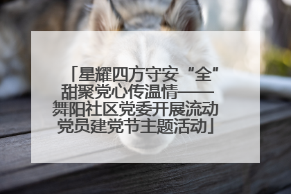 星耀四方守安“全” 甜聚党心传温情——舞阳社区党委开展流动党员建党节主题活动