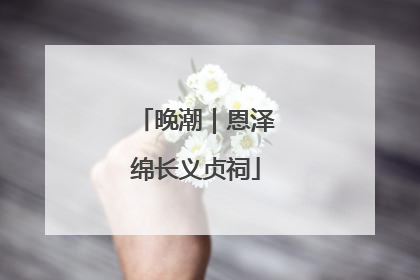 晚潮｜恩泽绵长义贞祠