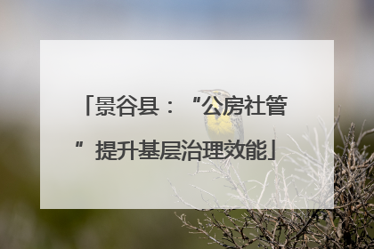 景谷县：“公房社管”提升基层治理效能