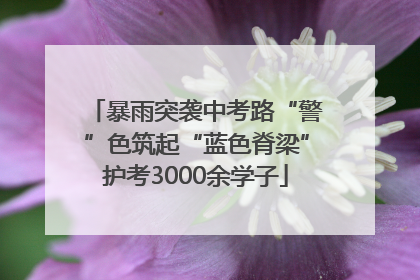 暴雨突袭中考路“警”色筑起“蓝色脊梁”护考3000余学子