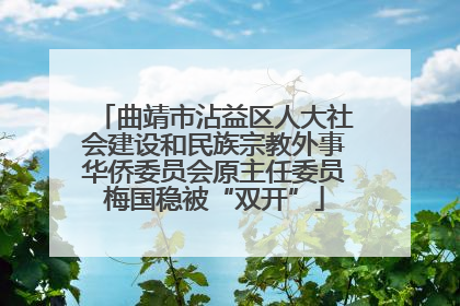 曲靖市沾益区人大社会建设和民族宗教外事华侨委员会原主任委员梅国稳被“双开”