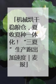 机械烘干稳粮仓，夏收夏种一体化！“三夏”生产跑出加速度｜麦报