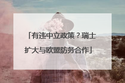 有违中立政策？瑞士扩大与欧盟防务合作