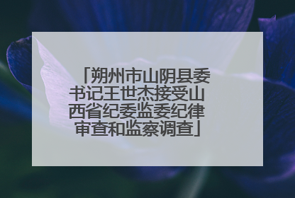 朔州市山阴县委书记王世杰接受山西省纪委监委纪律审查和监察调查