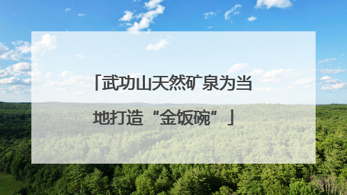 武功山天然矿泉为当地打造“金饭碗”