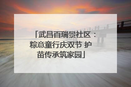 武昌百瑞景社区：粽意童行庆双节 护苗传承筑家园