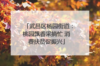 武昌区杨园街道：桃园飘香采摘忙 消费扶贫促振兴
