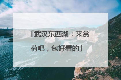 武汉东西湖：来赏荷吧，包好看的