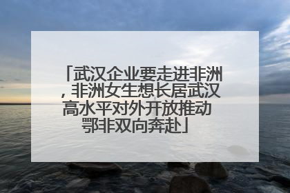 武汉企业要走进非洲，非洲女生想长居武汉 高水平对外开放推动鄂非双向奔赴