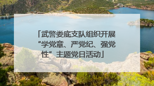 武警娄底支队组织开展“学党章、严党纪、强党性”主题党日活动