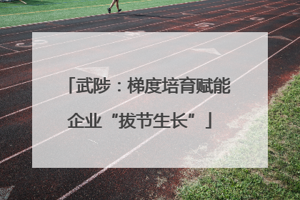 武陟：梯度培育赋能企业“拔节生长”