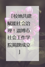 校地共建赋能社会治理！淄博市社会工作学院揭牌成立