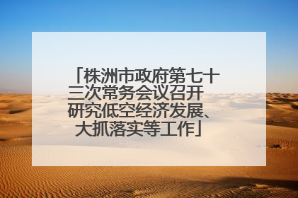 株洲市政府第七十三次常务会议召开 研究低空经济发展、大抓落实等工作