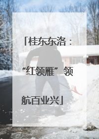 桂东东洛：“红领雁”领航百业兴