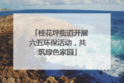 桂花坪街道开展六五环保活动，共筑绿色家园