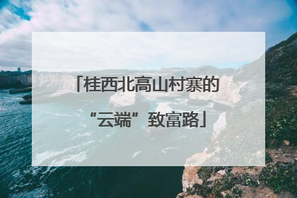 桂西北高山村寨的“云端”致富路