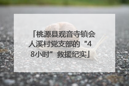 桃源县观音寺镇会人溪村党支部的“48小时”救援纪实