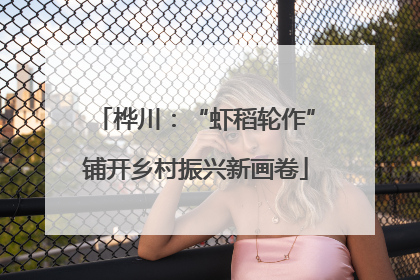 桦川：“虾稻轮作”铺开乡村振兴新画卷