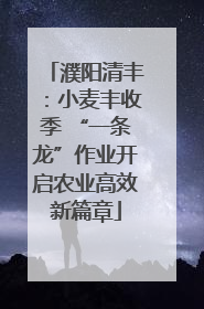 濮阳清丰：小麦丰收季 “一条龙”作业开启农业高效新篇章
