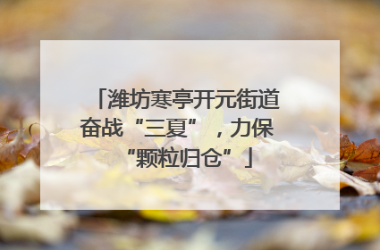 潍坊寒亭开元街道奋战“三夏”，力保“颗粒归仓”
