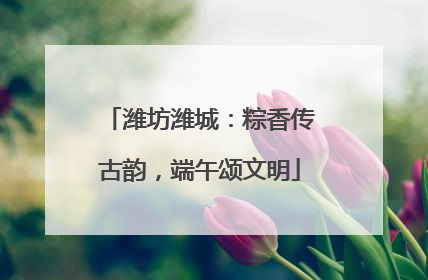 潍坊潍城：粽香传古韵，端午颂文明