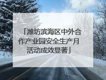 潍坊滨海区中外合作产业园安全生产月活动成效显著