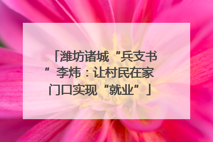 潍坊诸城“兵支书”李炜：让村民在家门口实现“就业”