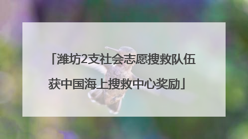 潍坊2支社会志愿搜救队伍获中国海上搜救中心奖励