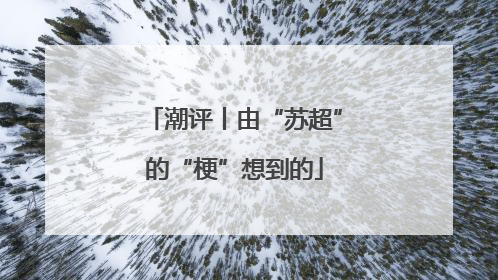 潮评丨由“苏超”的“梗”想到的